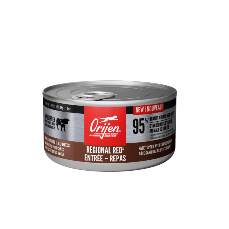 files/large_95c6aafd-e119-4336-8861-50fa9fface84.png