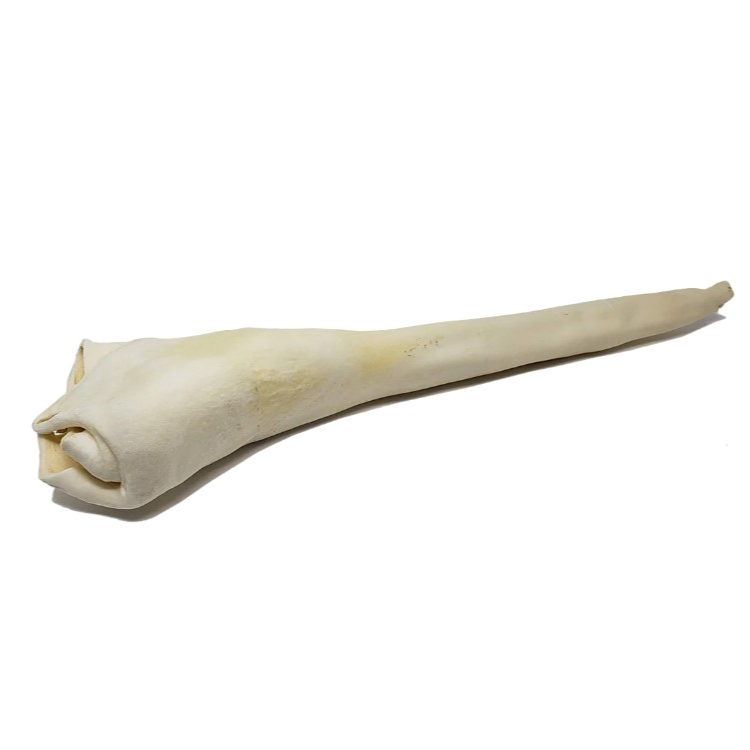 files/large_c96d2741-e1de-4b51-b24e-404d3eec1ab4.png
