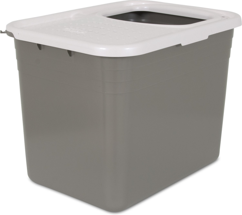files/large_f0b56f79-0155-40d4-9027-5963a2d96b5b.png