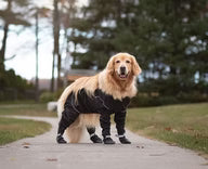 Mucky Dog All Weather Wader