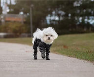 Mucky Dog All Weather Wader