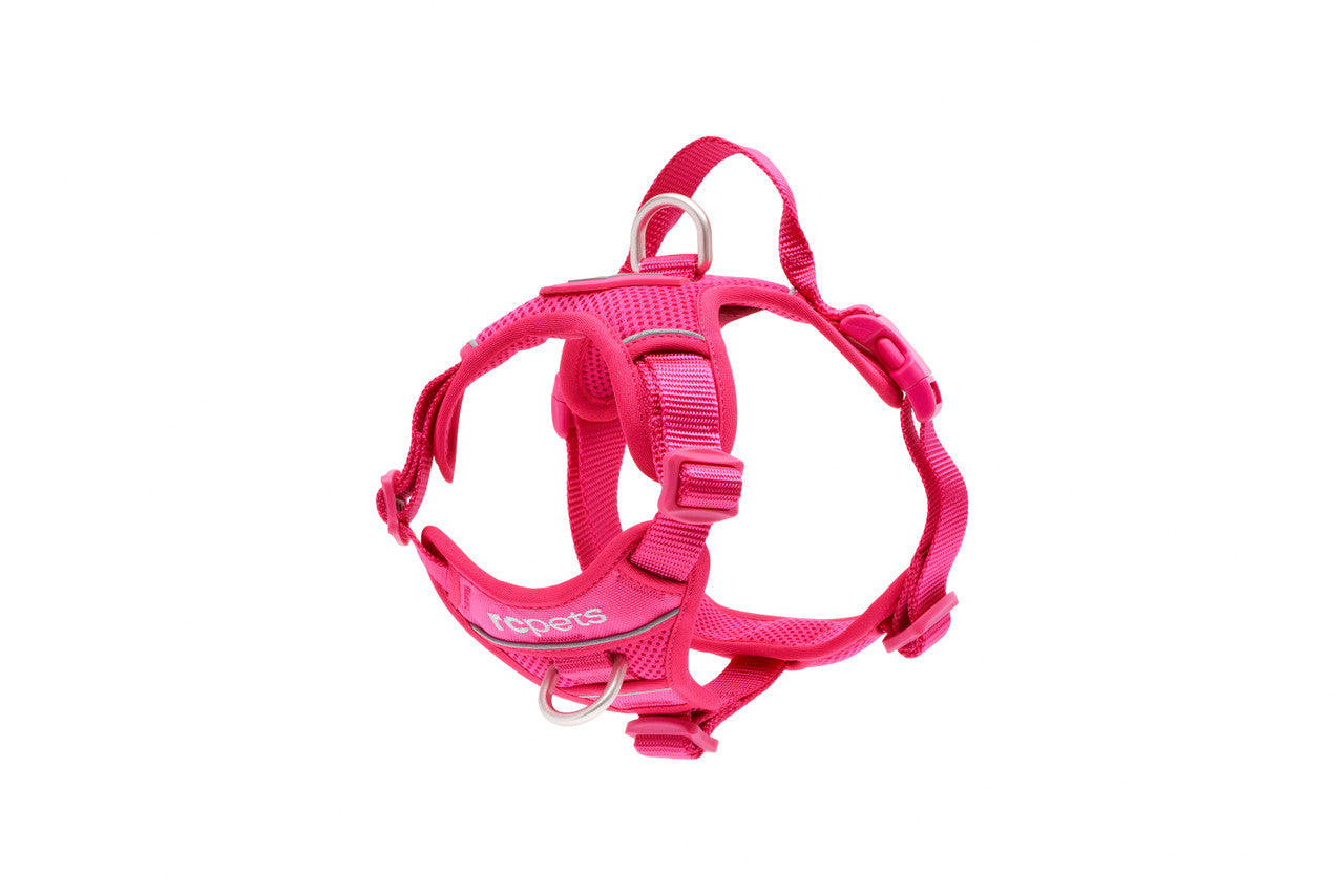 RC Pets - Momentum Harness Azalea