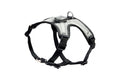 RC Pets Nova LED Light Harness