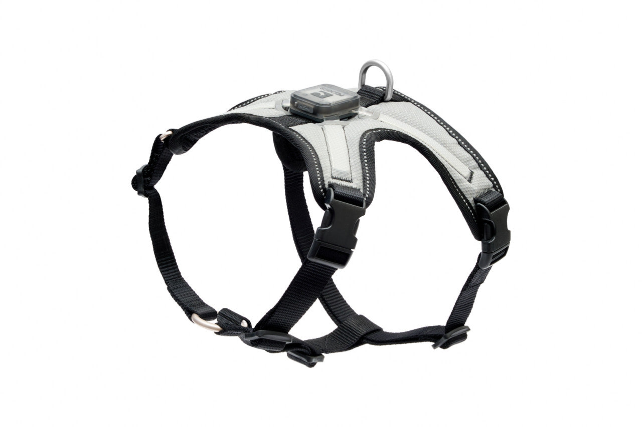 RC Pets Nova LED Light Harness