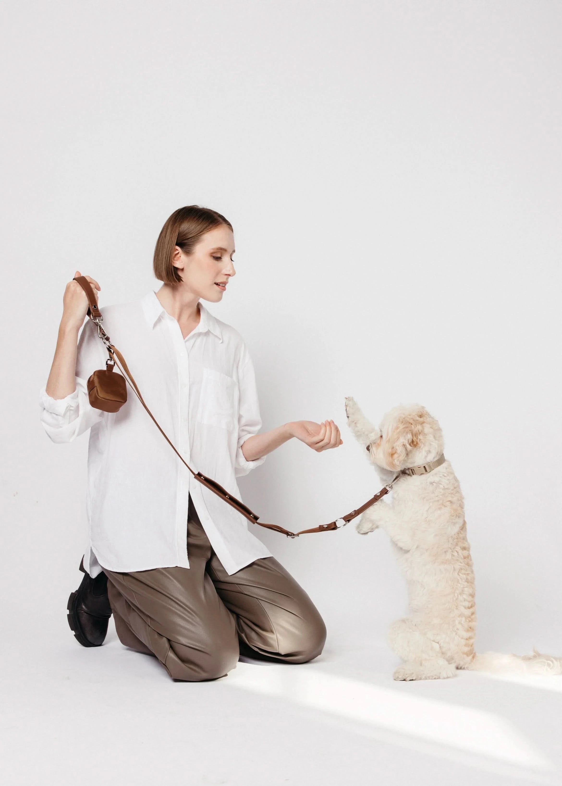 Rein - Convertible Leash