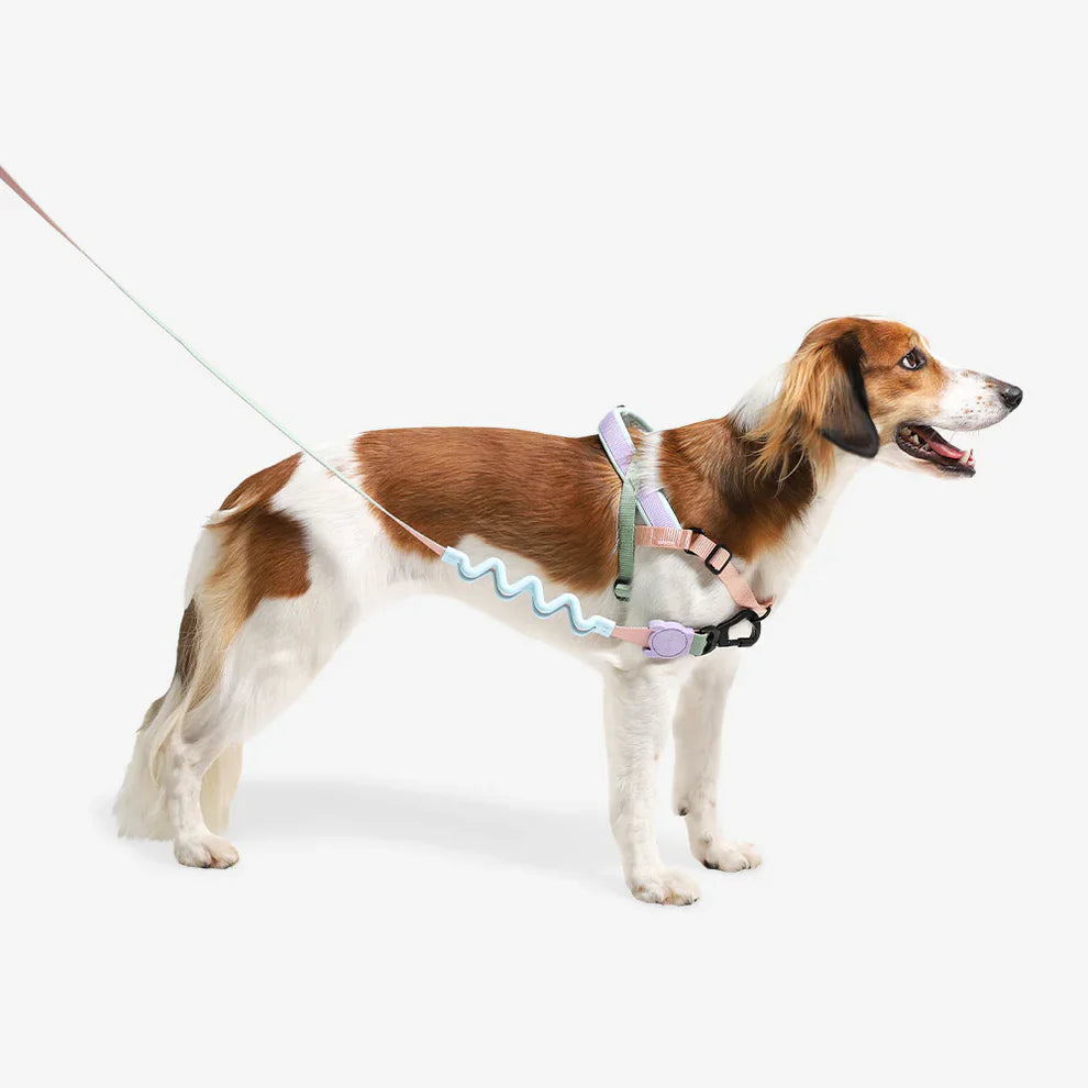 Zee.Dog SofterWalk Harness Peach