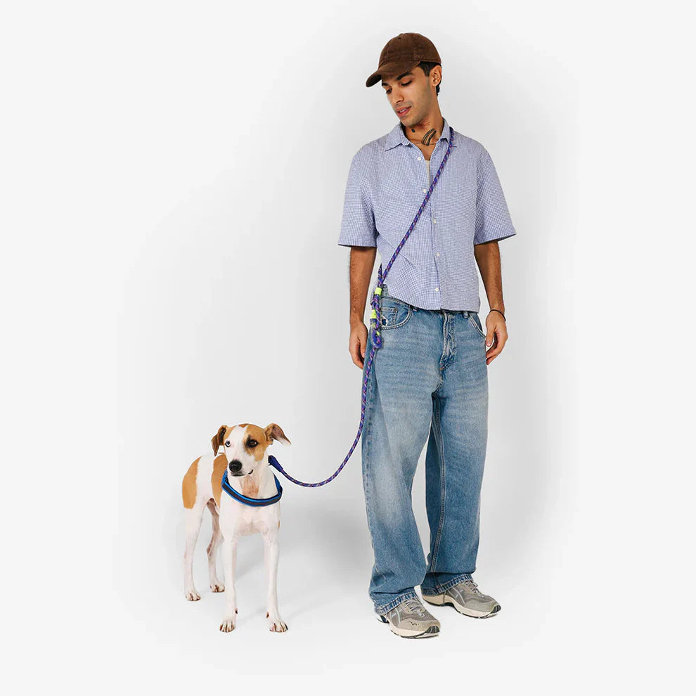 Zee.Dog Tokyo Hands-Free Leash