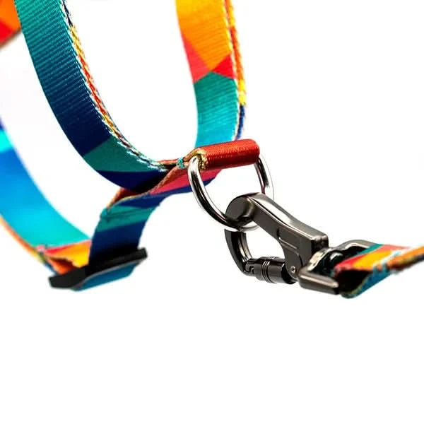 Woof Concept - Polygon 2 Step-In-Harness