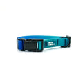 Woof Concept - Blue Hawaiian Waterproof Dog Collar