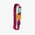 Zee.Dog NOX Sidus Collar