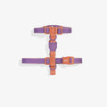 Zee.Dog Neopro Iris Harness
