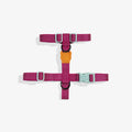 Zee.Dog NOX Sidus Harness