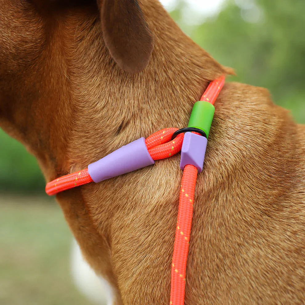 Zee.Dog Everest Slip-N-Lock Leash