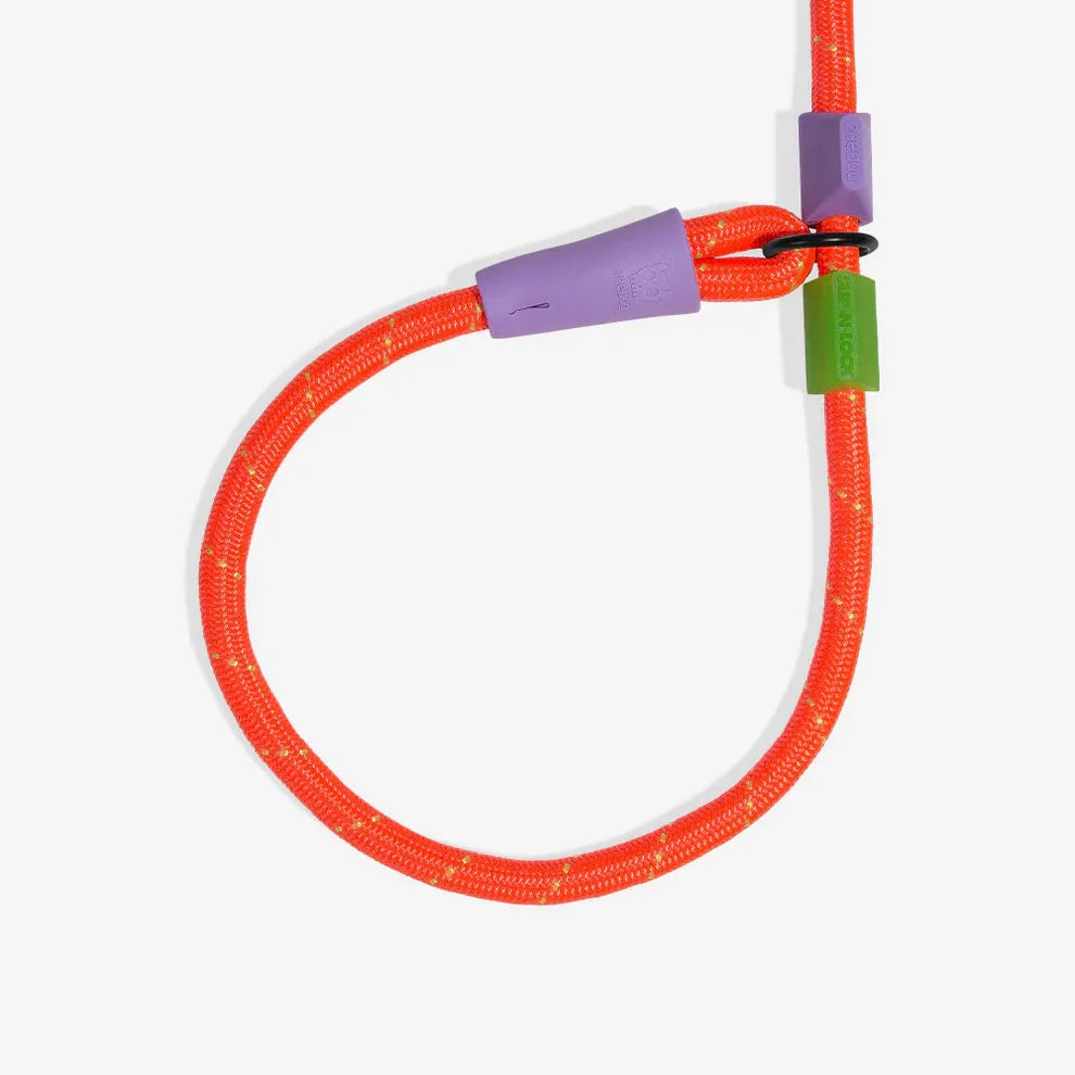 Zee.Dog Everest Slip-N-Lock Leash